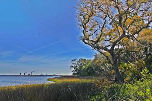 The Greater Jacksonville Paddling Guide
