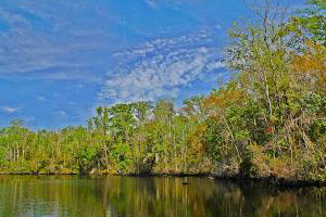 The Greater Jacksonville Paddling Guide