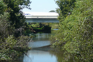 The Greater Jacksonville Paddling Guide