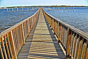 The Greater Jacksonville Paddling Guide